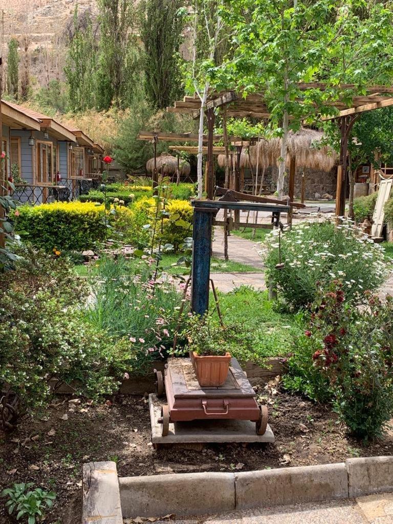 Hotel Faro Del Valle Писко-Эльки Экстерьер фото